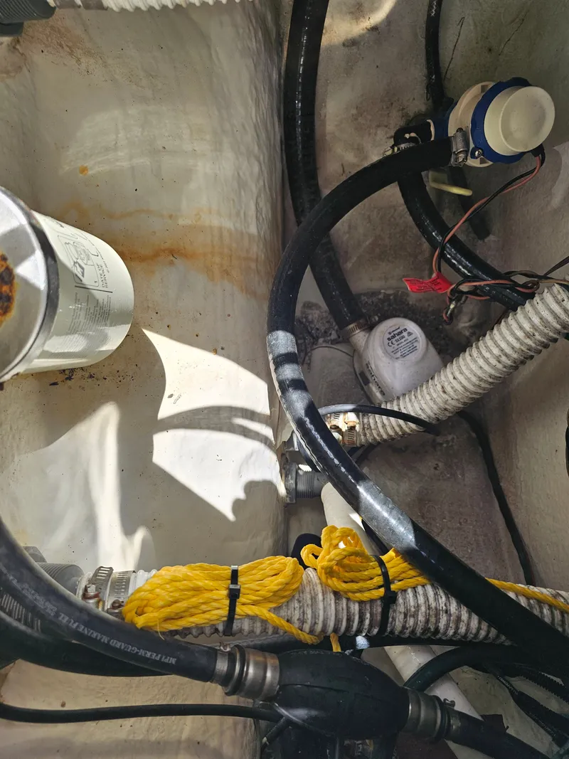 Slide: The Image of Key West 239 DFS 2023 - 38