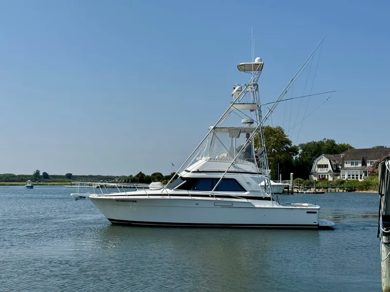 Slide: The Image of Bertram 37 Convertible 1987 - 2