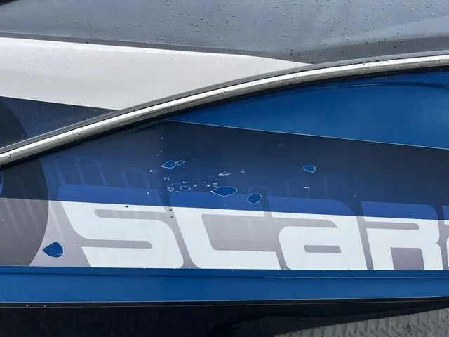 Slide: The Image of Scarab 255 ID 2018 - 15