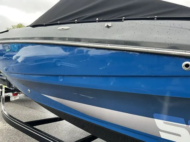 Slide: The Image of Scarab 255 ID 2018 - 20