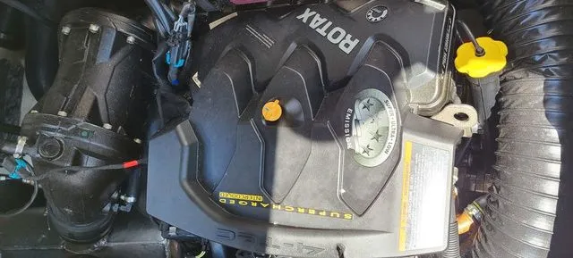 Slide: The Image of Scarab 255 ID 2018 - 5