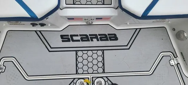 Slide: The Image of Scarab 255 ID 2018 - 6