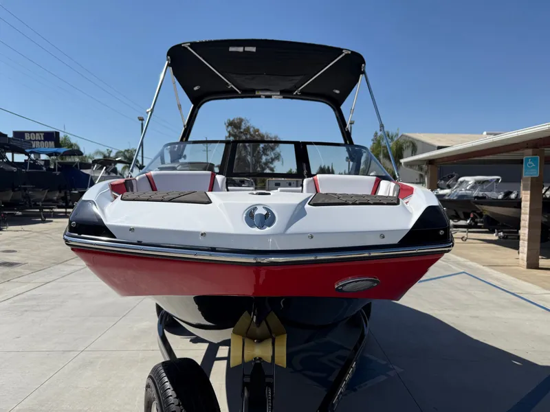 Slide: The Image of Scarab 195 ID 2021 - 3