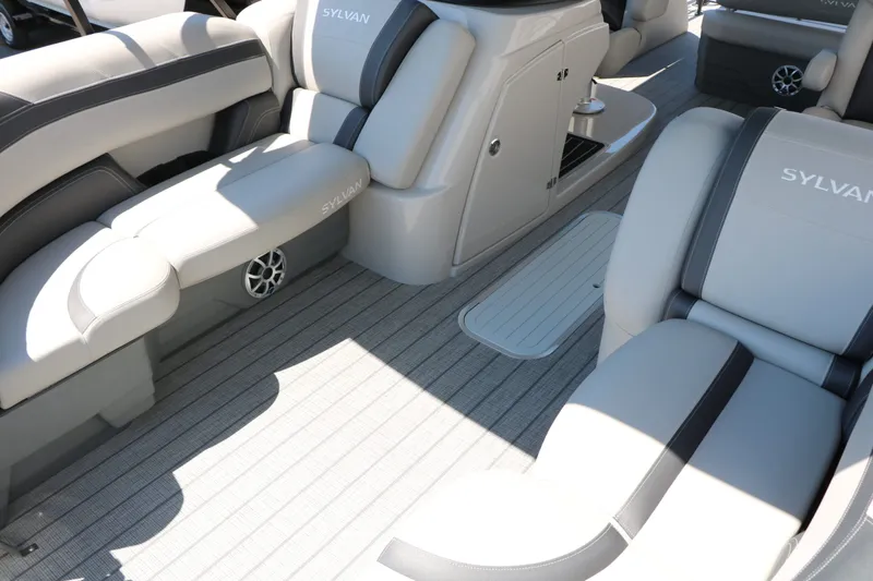 Slide: The Image of Sylvan L3 CLZ DH Tri Toon 2025 - 12