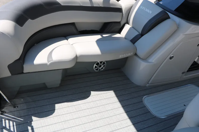 Slide: The Image of Sylvan L3 CLZ DH Tri Toon 2025 - 15