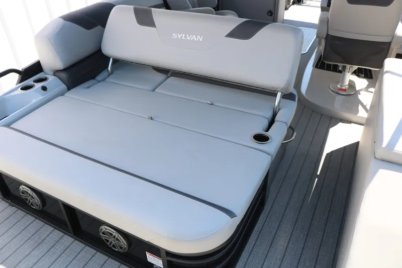 Slide: The Image of Sylvan L3 CLZ DH Tri Toon 2025 - 16