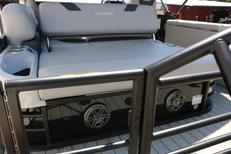 Slide: The Image of Sylvan L3 CLZ DH Tri Toon 2025 - 18