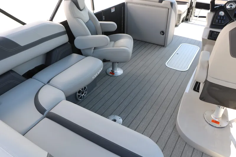 Slide: The Image of Sylvan L3 CLZ DH Tri Toon 2025 - 19