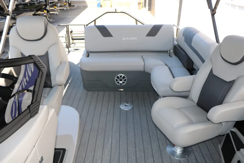 Slide: The Image of Sylvan L3 CLZ DH Tri Toon 2025 - 20