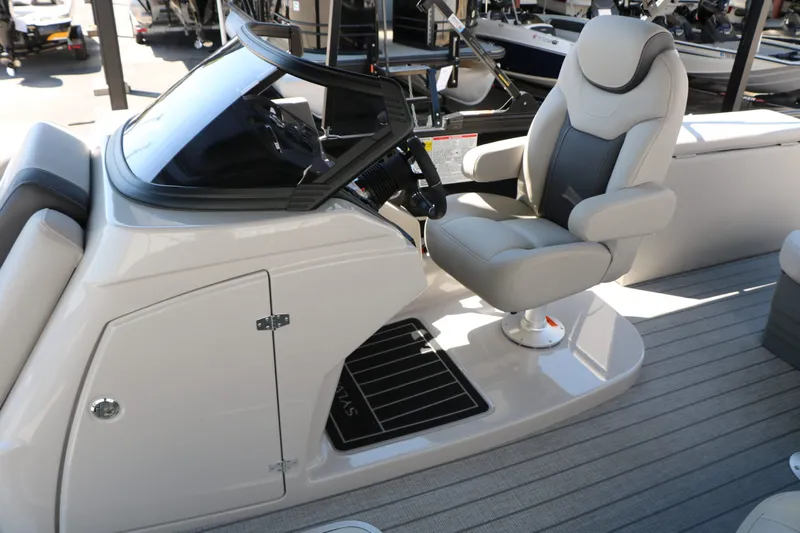 Slide: The Image of Sylvan L3 CLZ DH Tri Toon 2025 - 21