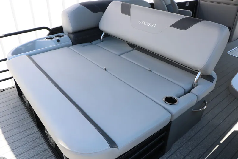 Slide: The Image of Sylvan L3 CLZ DH Tri Toon 2025 - 28