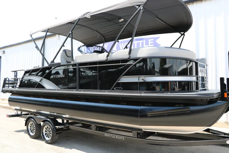 Slide: The Image of Sylvan L3 CLZ DH Tri Toon 2025 - 4