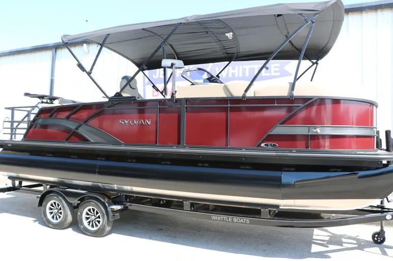 Slide: The Image of Sylvan L3 DLZ Tri Toon 2025 - 5