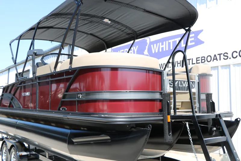 Slide: The Image of Sylvan L3 DLZ Tri Toon 2025 - 7