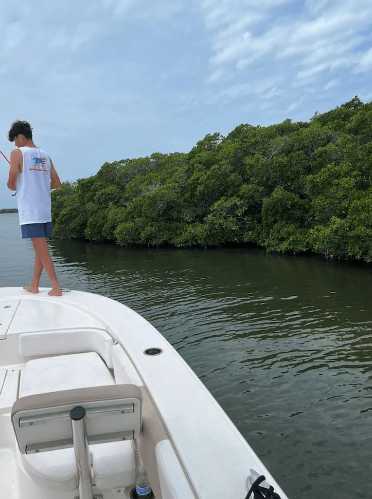 Slide: The Image of Robalo 246 Cayman 2019 - 13