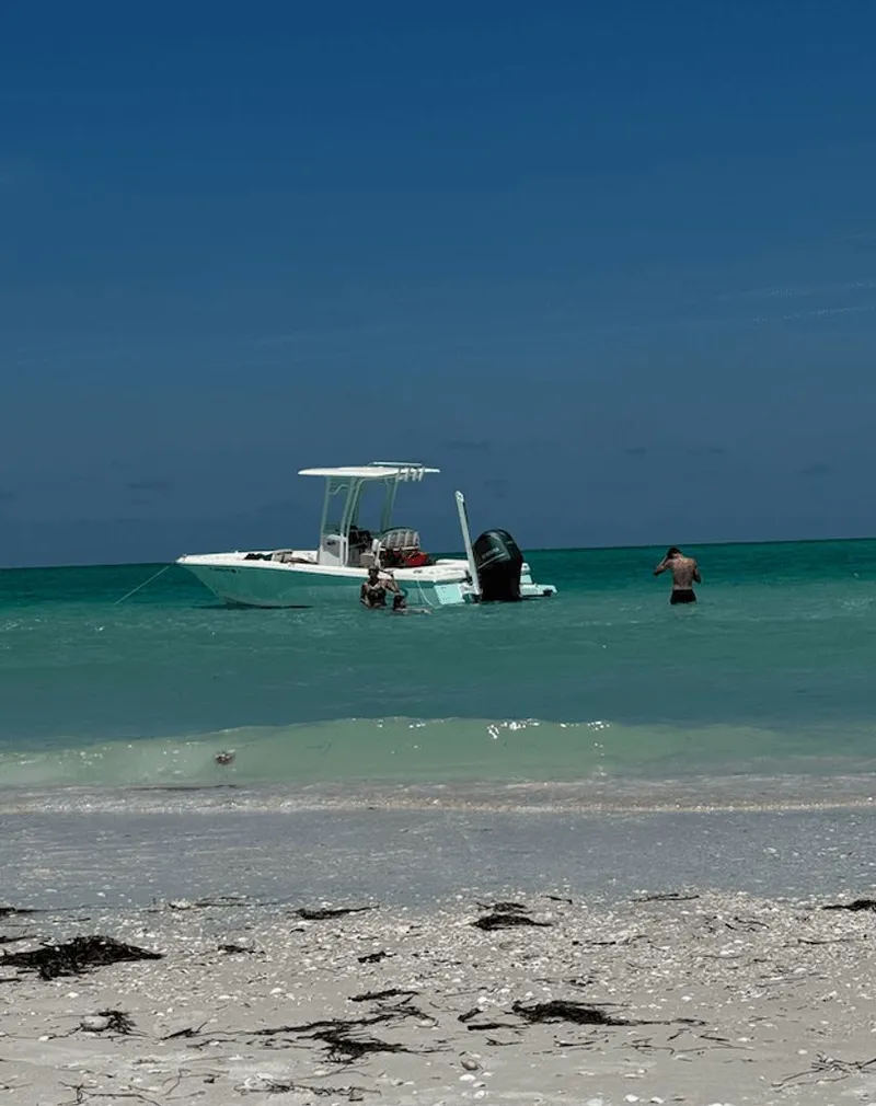 Slide: The Image of Robalo 246 Cayman 2019 - 2