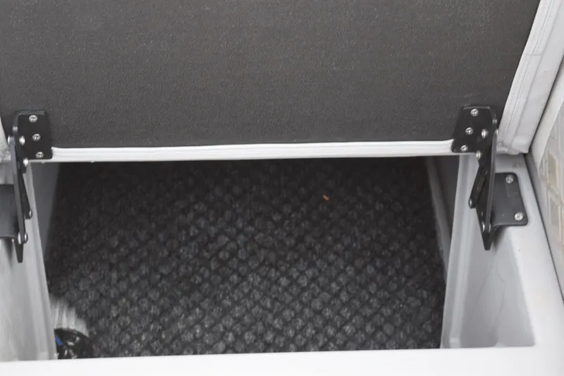 Slide: The Image of Storage compartment in 2025 Qwest L-Class 822 RLS boat, featuring durable hinges and carpeted interior. - 18