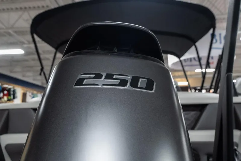 Slide: The Image of Close-up of Viaggio D22U 2026 boat engine with "250" label. - 7