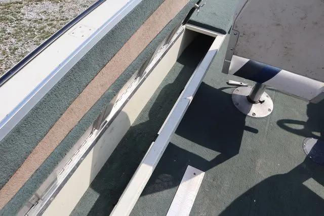 Slide: The Image of Lowe Sea Nymph 1667 2000 - 13