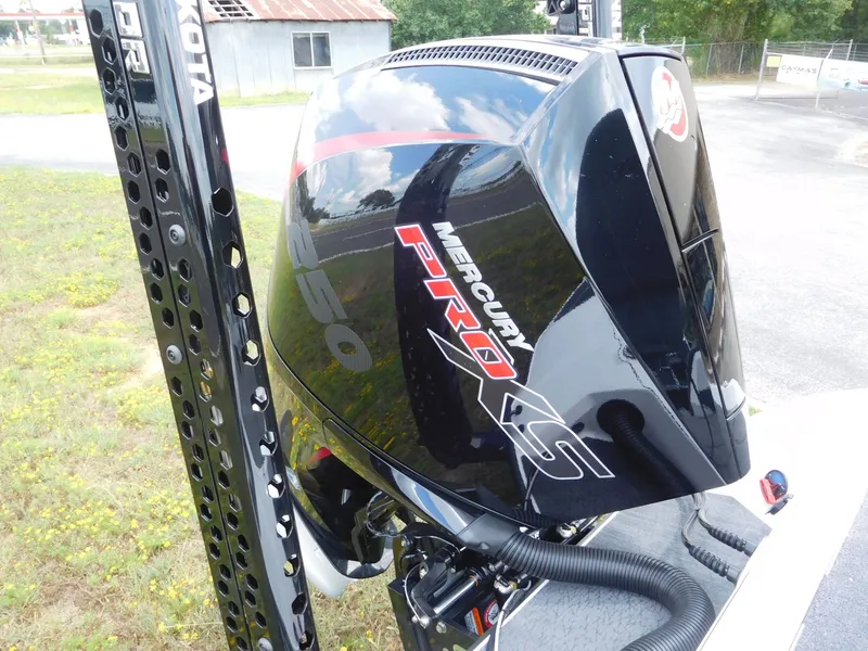 Slide: The Image of Vexus VXS 21 2026 - 12