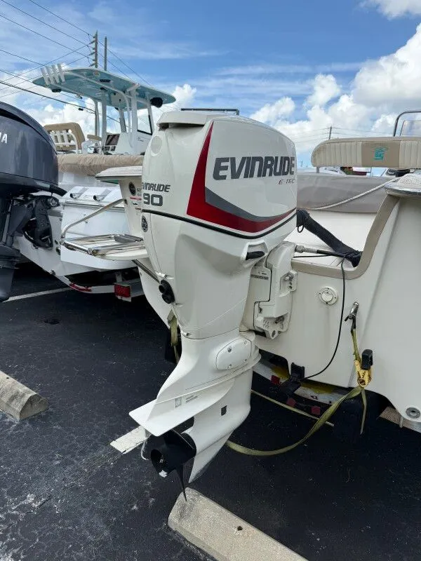 Slide: The Image of Carolina 178 2018 - 8