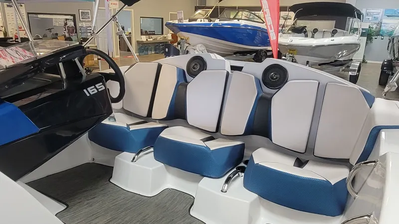 Slide: The Image of Scarab 165 ID 2023 - 10