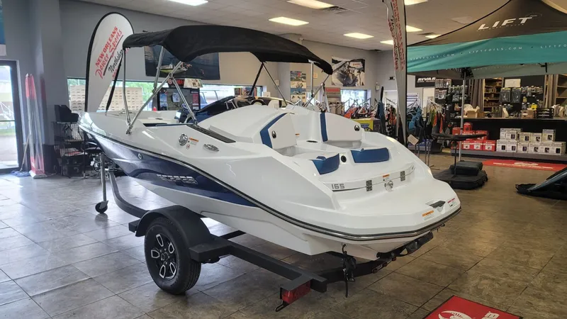 Slide: The Image of Scarab 165 ID 2023 - 3