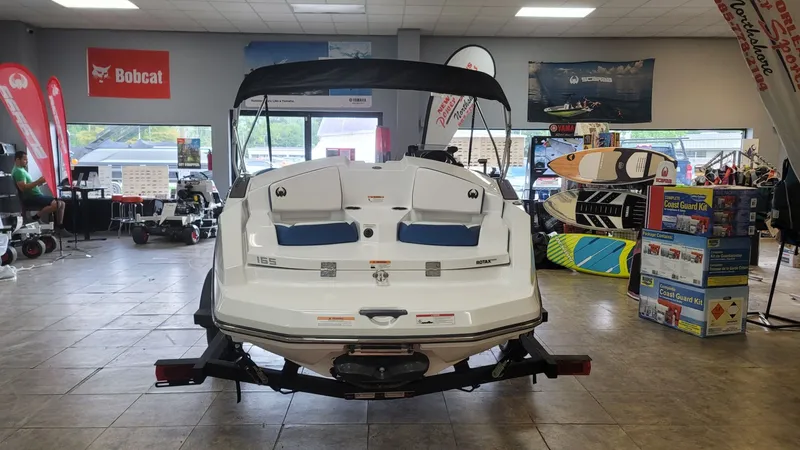 Slide: The Image of Scarab 165 ID 2023 - 4