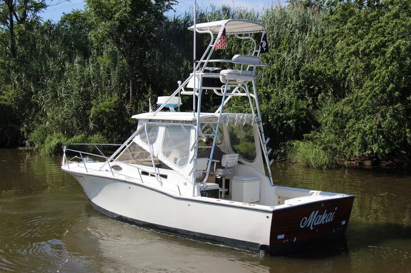 Slide: The Image of 2004 Carolina Classic 28 boat cruising on a calm river, surrounded by lush greenery. - 37