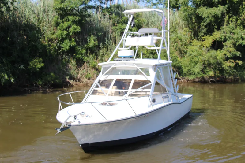 Slide: The Image of 2004 Carolina Classic 28 boat cruising on a river with lush greenery. - 45