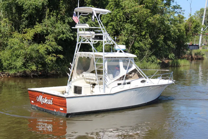Slide: The Image of 2004 Carolina Classic 28 boat cruising on a river, surrounded by lush greenery. - 55