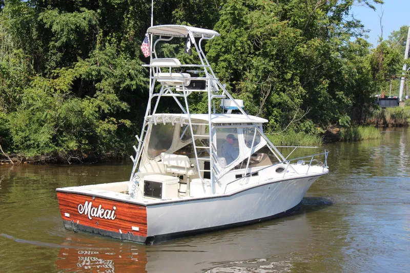Slide: The Image of 2004 Carolina Classic 28 boat cruising on a river with lush green trees. - 56