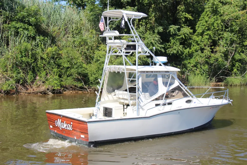 Slide: The Image of 2004 Carolina Classic 28 boat cruising on a river with lush greenery. - 59