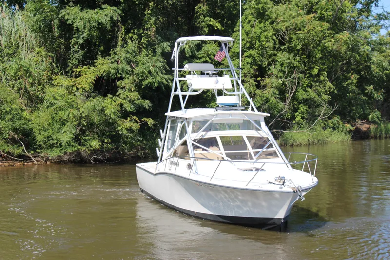 Slide: The Image of 2004 Carolina Classic 28 boat cruising on a calm river surrounded by lush greenery. - 66
