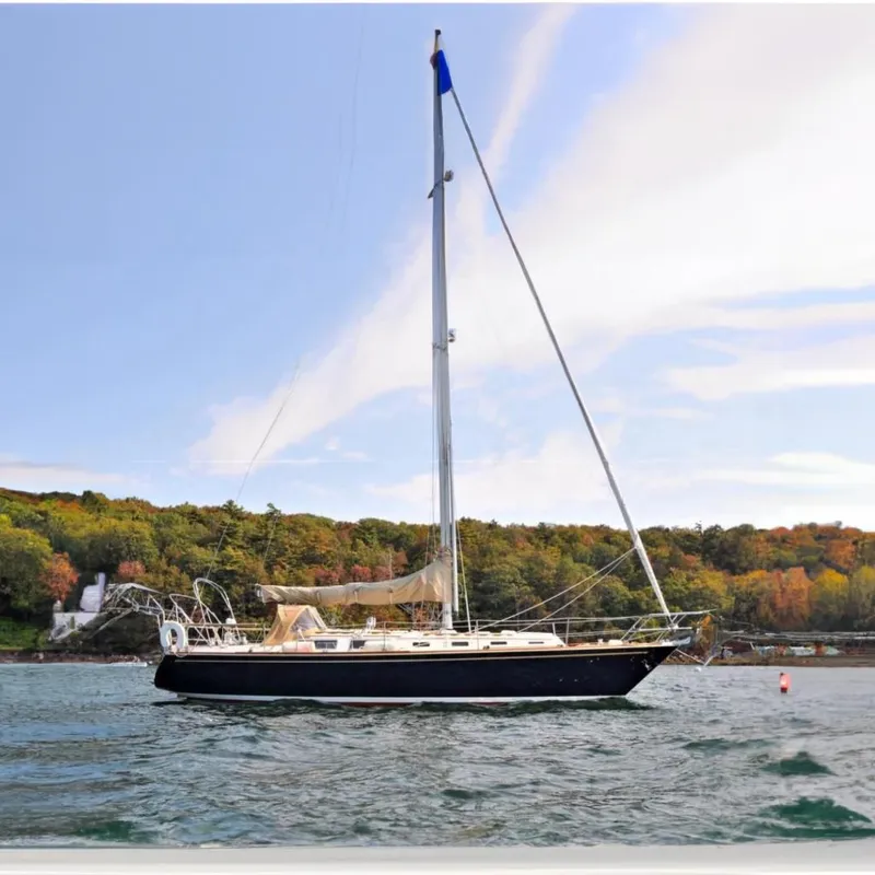 The Image of Sabre 38 MKI - Natalyn - 0