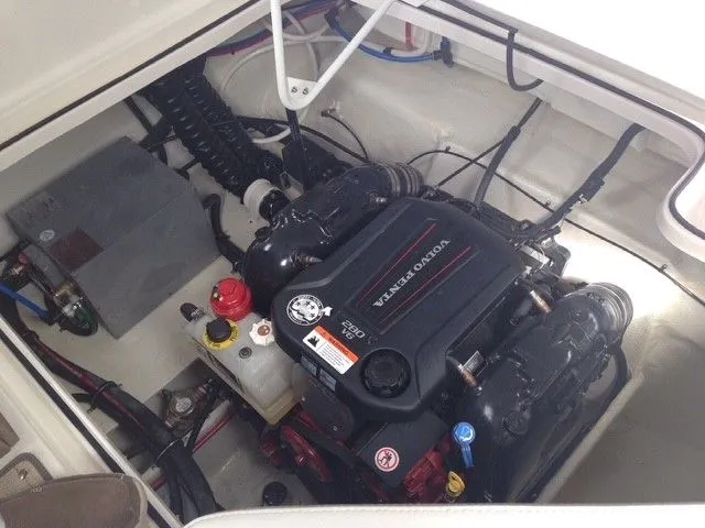 Slide: The Image of Regal 26 Express 2017 - 4