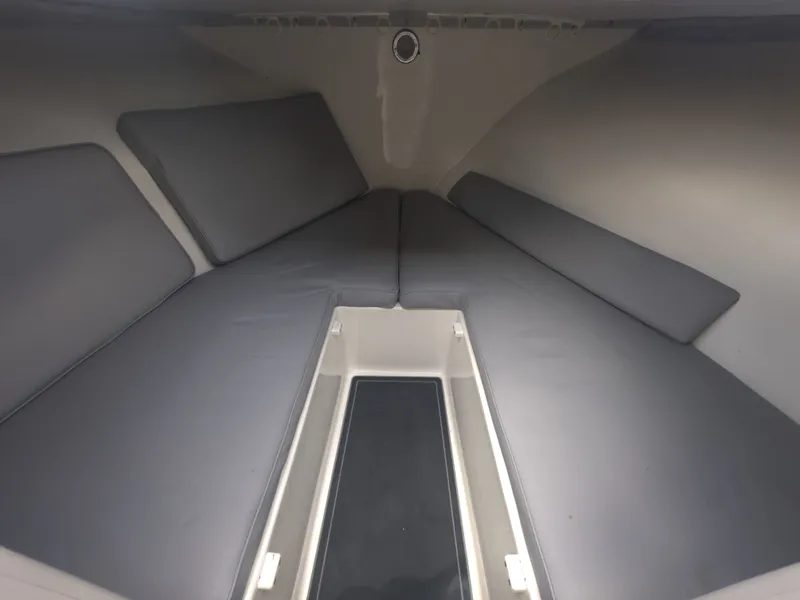 Slide: The Image of Dusky 256 1999 - 11