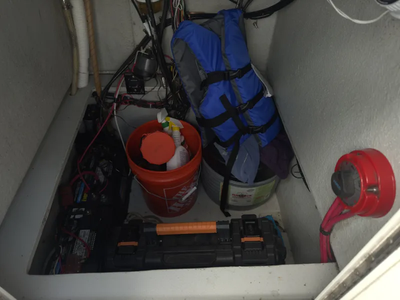 Slide: The Image of Dusky 256 1999 - 9