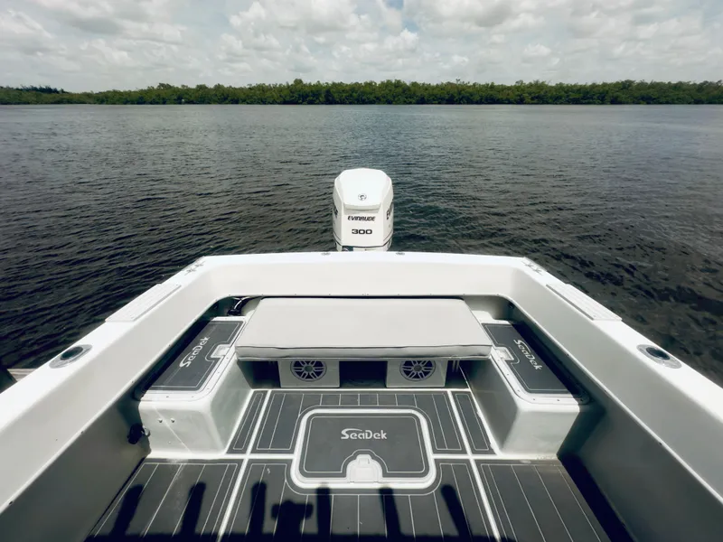 Slide: The Image of Dusky 256 Center Console 1999 - 6