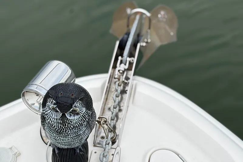 Slide: The Image of Bow of 2001 Sea Ray 340 Sundancer with anchor and decorative owl. - 25