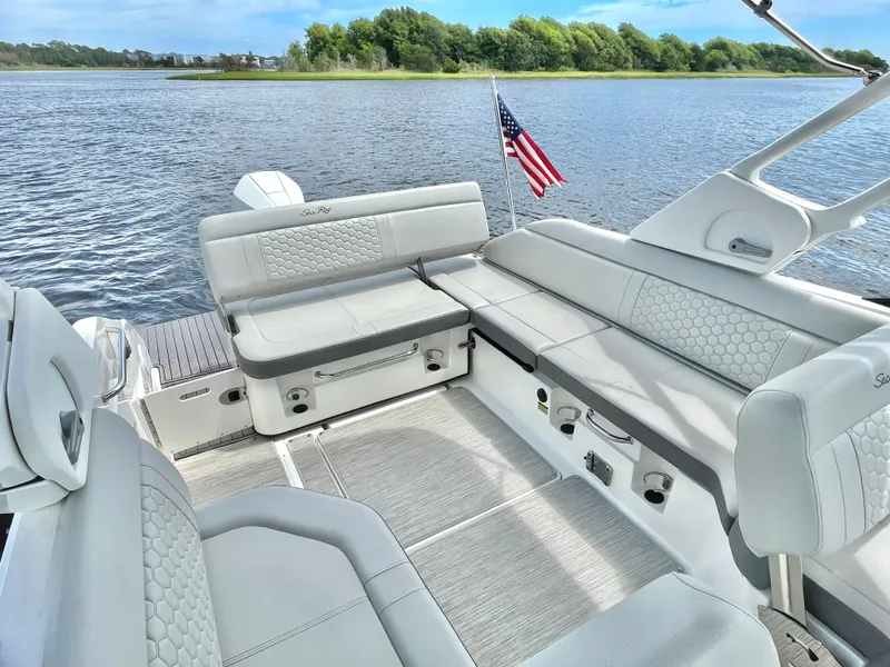 Slide: The Image of Sea Ray 250SD-OB 2023 - 17