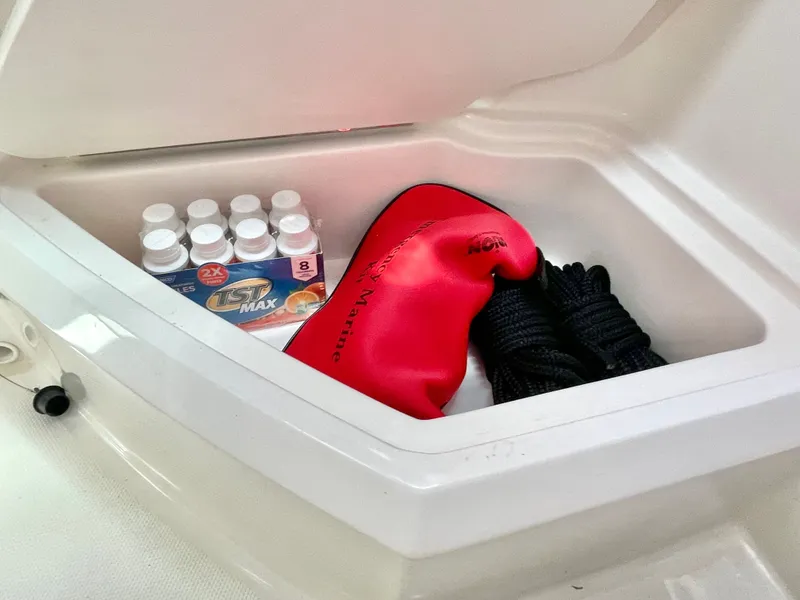 Slide: The Image of Sea Ray 250SD-OB 2023 - 39