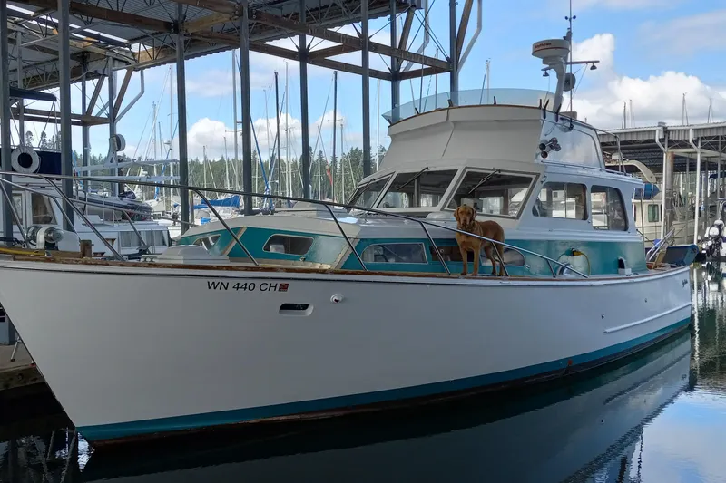 The Image of 1968 Egg Harbor Sedan boat docked with a dog on deck, marina background. - 0
