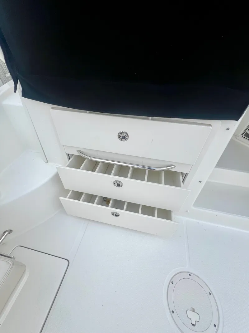 Slide: The Image of Boston Whaler 315 Conquest 2019 - 27