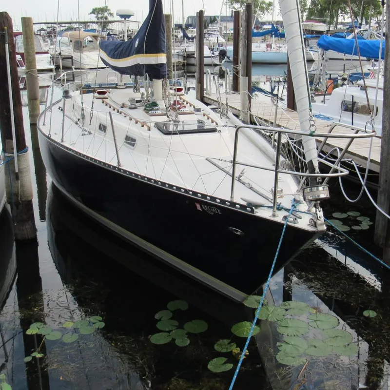 The Image of 1976 Tartan 38 sailboat docked in a marina, surrounded by lily pads. - 0