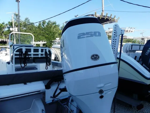 Slide: The Image of Sea Born FX24 Bay Sport 2021 - 6