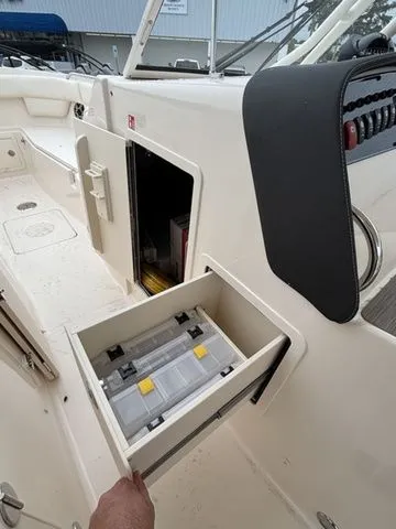 Slide: The Image of Grady-White Freedom 307 2026 - 21