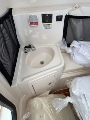 Slide: The Image of Grady-White Freedom 307 2026 - 26