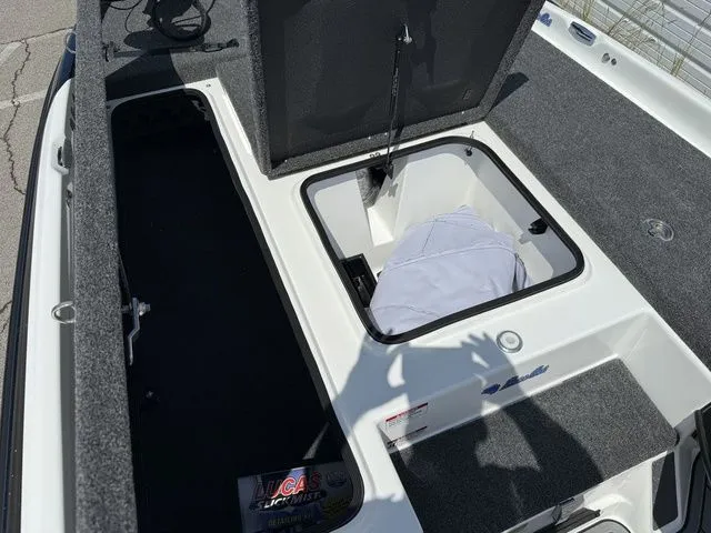 Slide: The Image of Bass Cat Cougar SP 2026 - 20