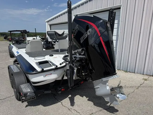 Slide: The Image of Bass Cat Cougar SP 2026 - 7